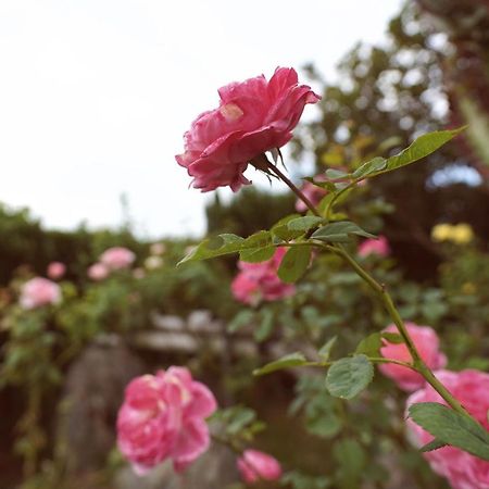 Taitung City-Cottage B&B Luaran gambar