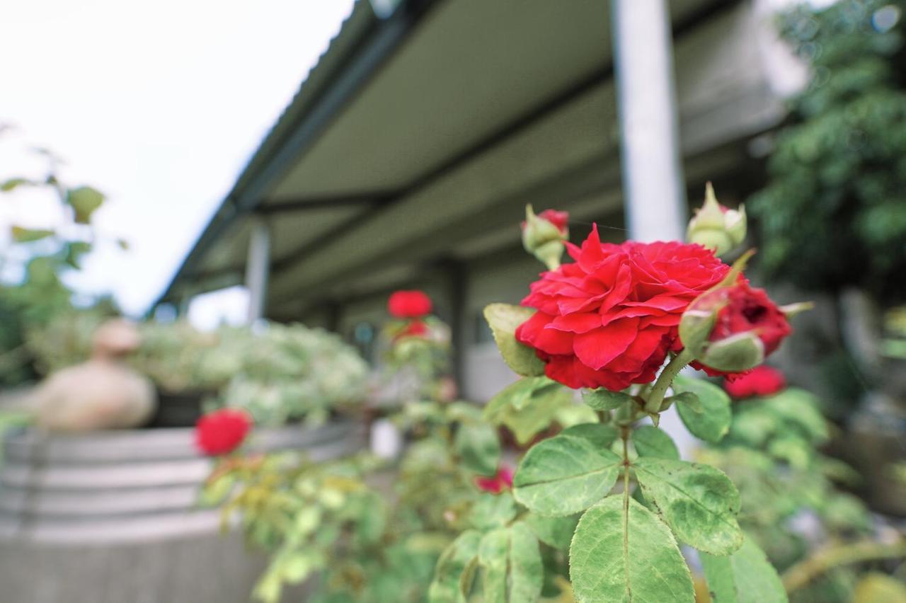 Taitung City-Cottage B&B Luaran gambar