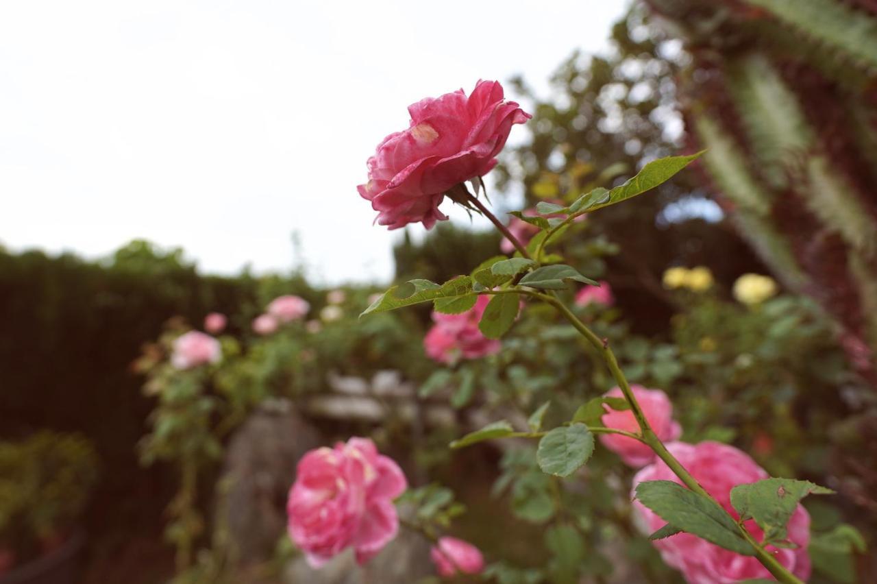 Taitung City-Cottage B&B Luaran gambar